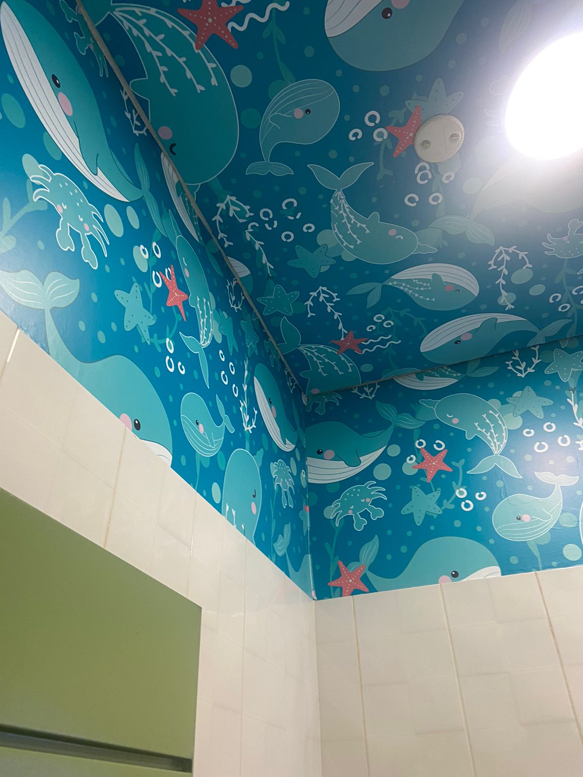 WhatsApp Image 2025-12-18 at 3.17.42 PM (1)