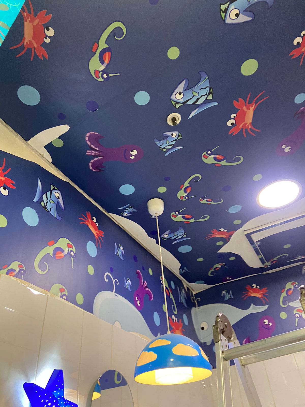 WhatsApp Image 2025-12-18 at 4.03.27 PM (1)